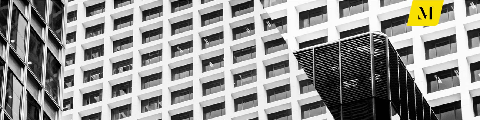 Banner Machado Meyer